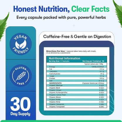 Zyzven Naturals Blood Sugar Support Supplement – 60 Vegan Capsules | Herbal Supplement with Moringa, Cinnamon, Ginger, Neem & Fenugreek | Plant-Based Wellness Supplement - Serving: 2 Capsules/Day - dailyvitalstore
